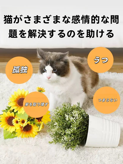 にんじん型 猫用 知育トイ 一人遊び 退屈対策 噛める 遊びマット