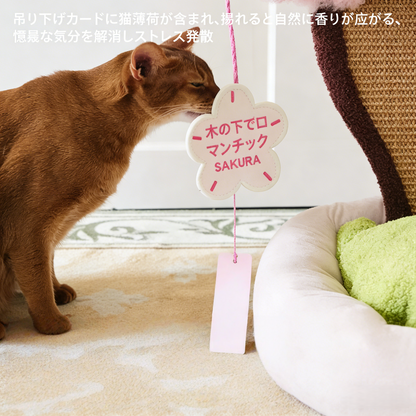 桜デザイン 猫用ベッド 爪とぎ付き キャットハウス 四季対応 冬も快適 かわいい 猫用品